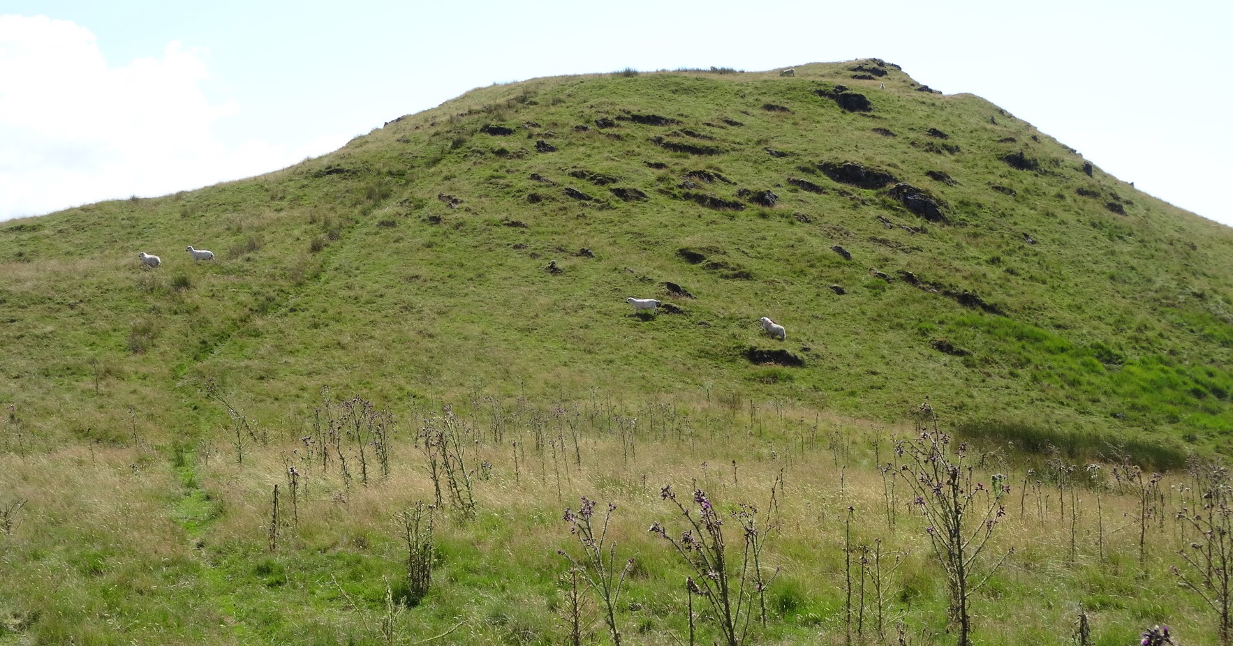 RachelSeabrook.net | Wild Walking | Disgwylfa-Fawr | pic13
